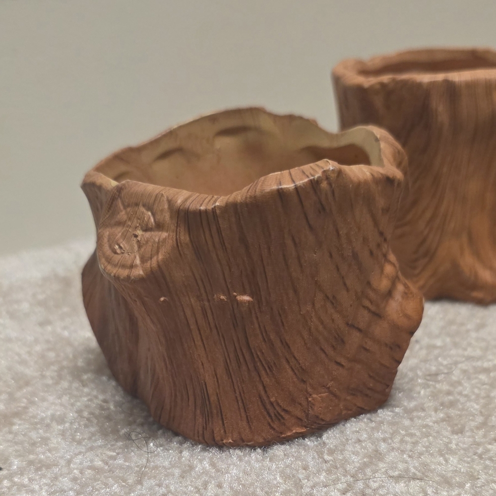 Rustic Tree Stump Planters - Picture 8 of 10